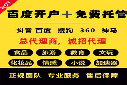 案例解读：SEO与SEM优化助力电商崛起